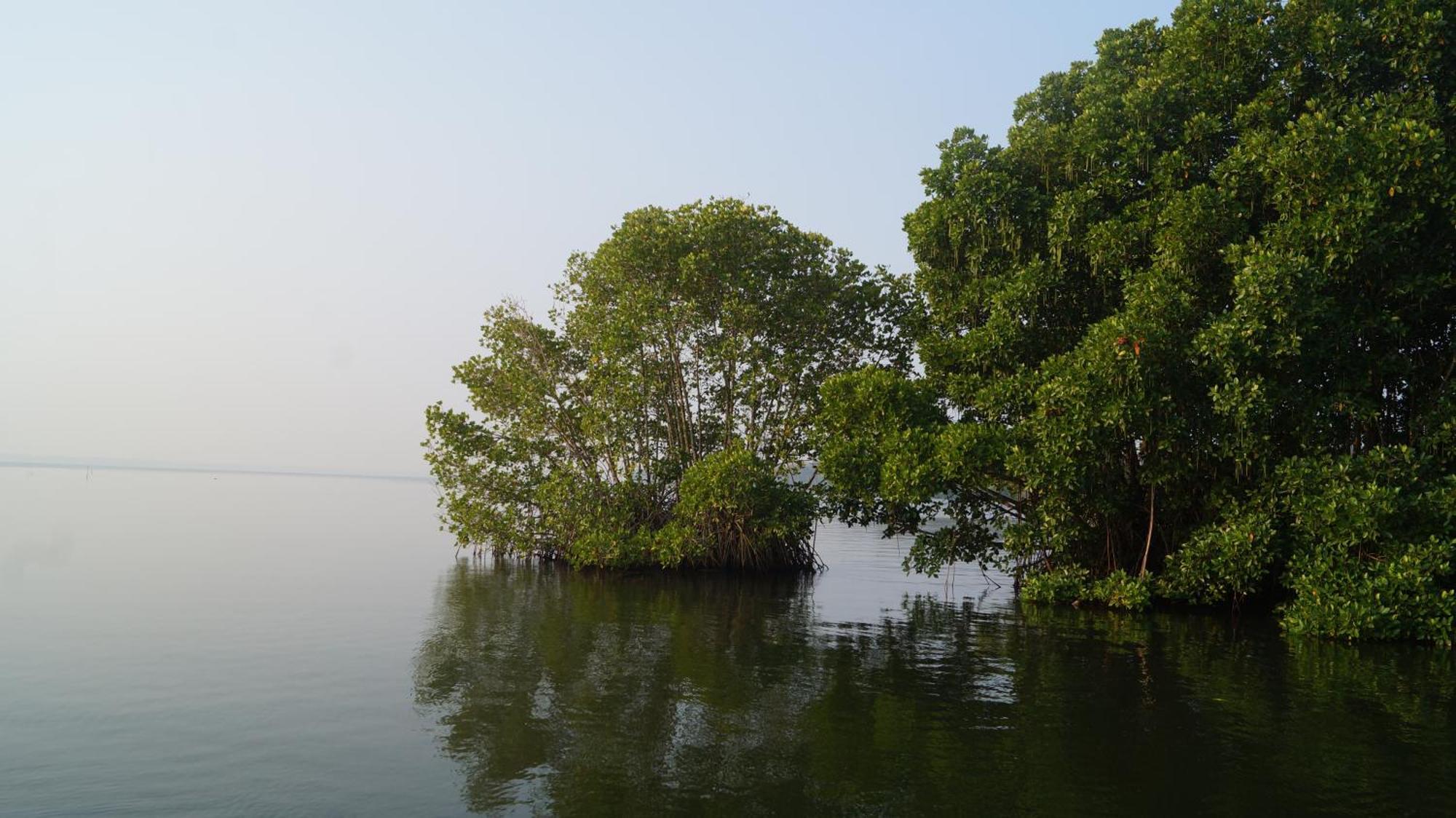 Blue Lake Villa Kollam Exteriér fotografie